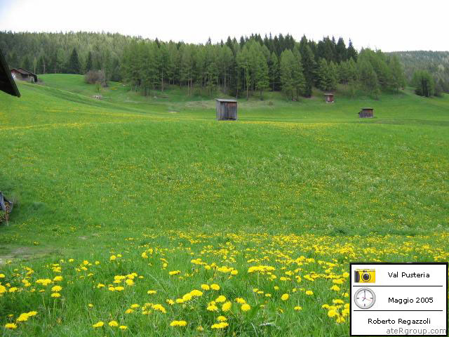 Natura - Paesaggi